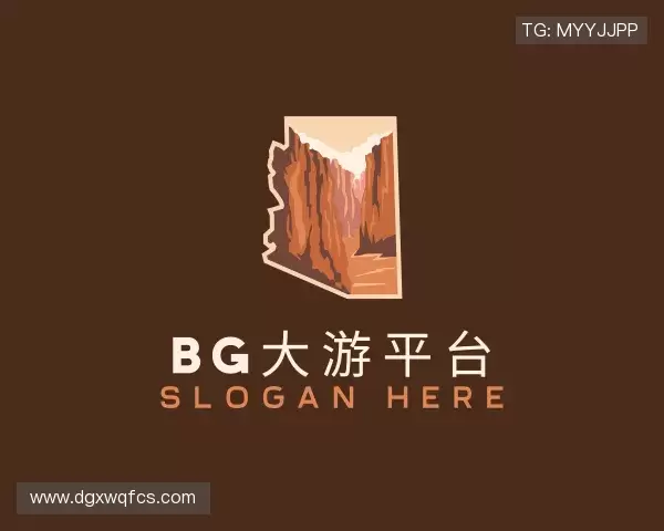 关于bg大游平台